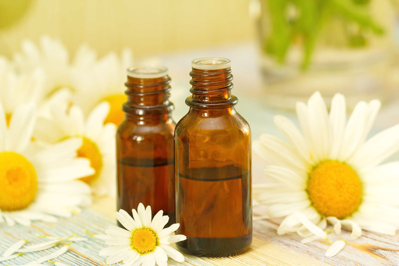 Chamomile, Roman