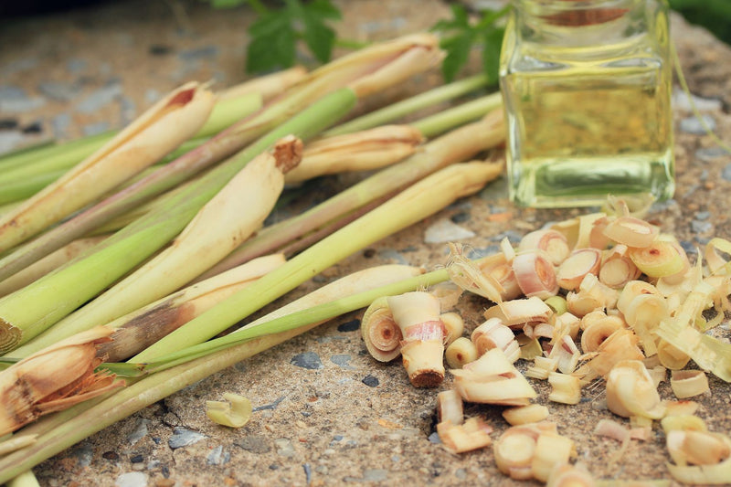 Lemongrass Essential Oil - Twenty Lemons